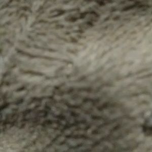 Meet your Posher, China